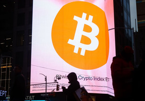 뱅가드 계량 전략 책임자 “비트코인, 아직은 ‘디지털 라부부’ 수준 장난감 자산”