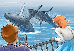 비트코인 고래들 2025년 강세장 마감 대비 BTC 매집 강화