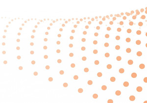 OP_NET 비트코인 L1 스마트 컨트랙트 활성화