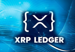 리플 CTO, XRPL 허브 운영 데이터 전면 공개…XRP 네트워크 투명성 강화 행보